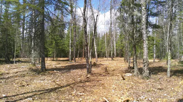 TBD Parcel G Frazer Bay Road, Cook, MN 55723