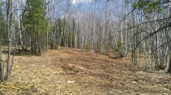 TBD Parcel I Frazer Bay Road, Cook, MN 55723