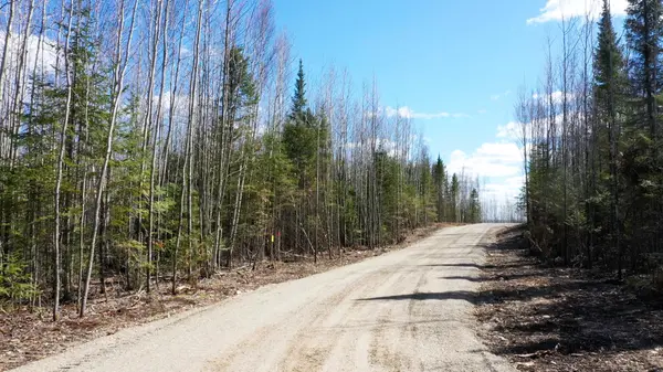 TBD Parcel I Frazer Bay Road, Cook, MN 55723