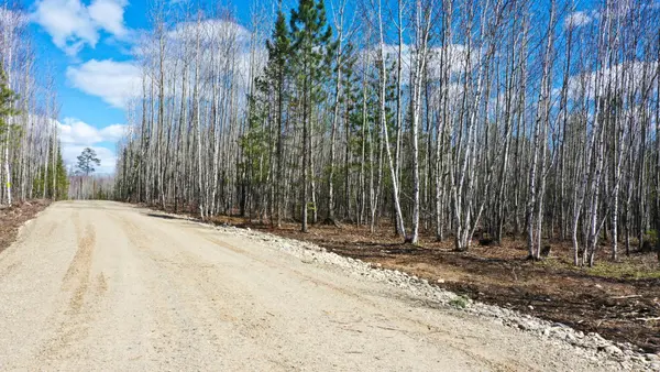 TBD Parcel I Frazer Bay Road, Cook, MN 55723