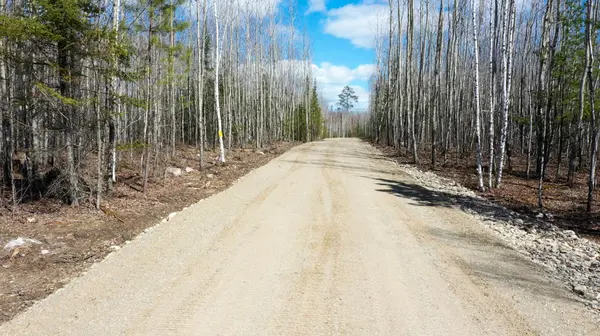 TBD Parcel U Frazer Bay Road, Cook, MN 55723
