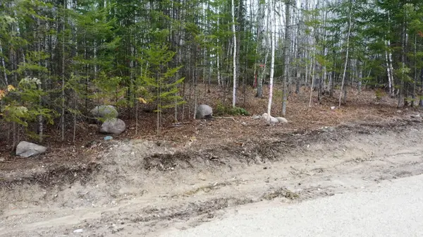 TBD Parcel V Frazer Bay Road, Cook, MN 55723