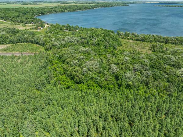 38XXX 385th Street, Richville, MN 56576