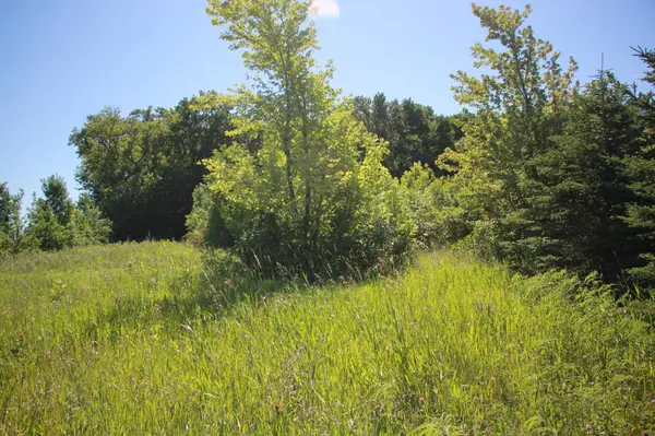 TBD 60TH Street, Blue Earth, MN 56013