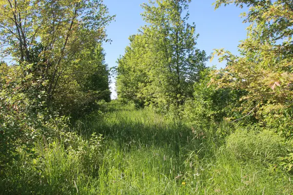 TBD 60TH Street, Blue Earth, MN 56013