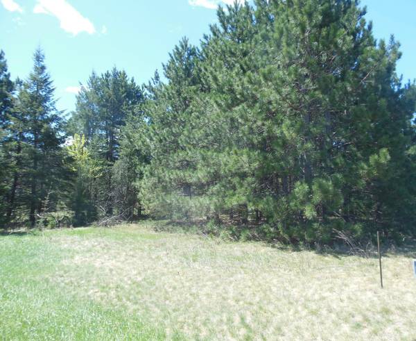 TBD Red Sequia DR N, Baxter, MN 56425