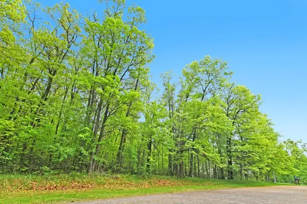 XXX Maplewood Drive, East Gull Lake, MN 56401
