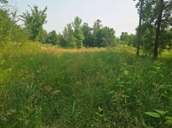 183XX 302nd AVE, Detroit Lakes, MN 56501
