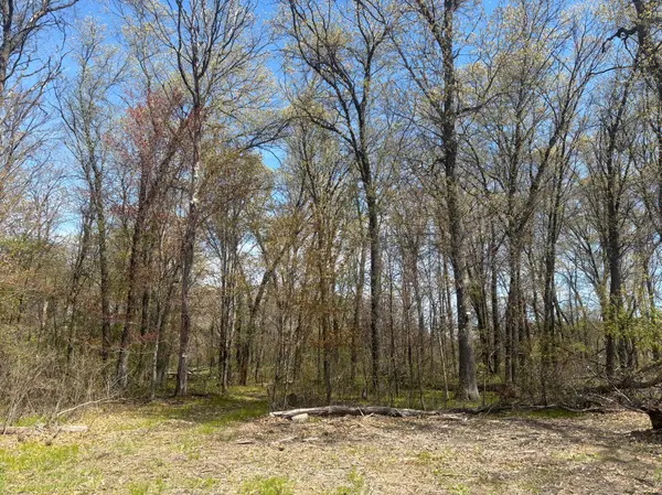 TBD 151st ST NW, Princeton, MN 55371