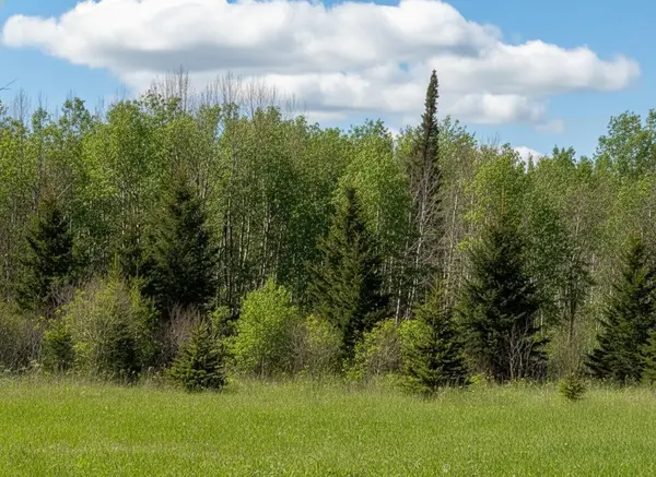 tbd Wildflower Lane NE, Blackduck, MN 56630