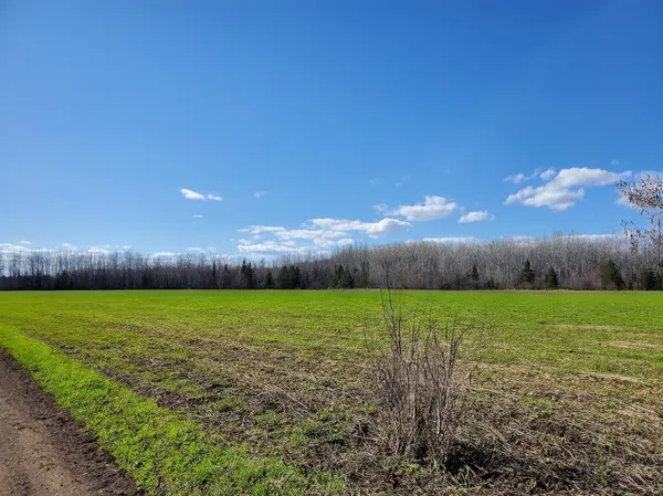 tbd Wildflower Lane NE, Blackduck, MN 56630