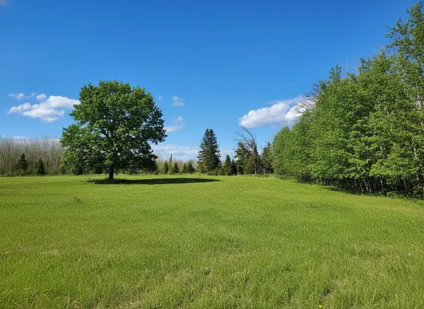 tbd Wildflower Lane NE, Blackduck, MN 56630