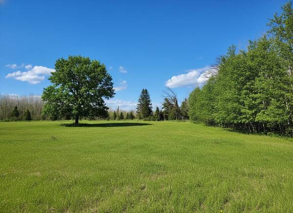 tbd Wildflower Lane NE,  Blackduck,  MN 56630