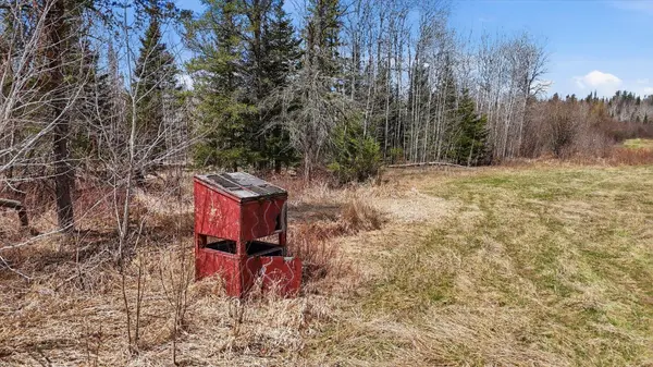 8849 Hwy 25, Angora, MN 55703