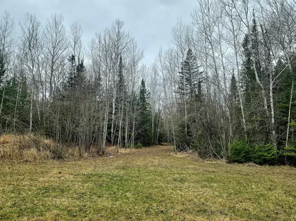 9464 Highway 53, Kabetogama, MN 56669