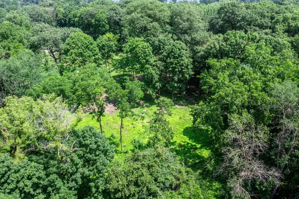 24695 Glen RD, Excelsior, MN 55331