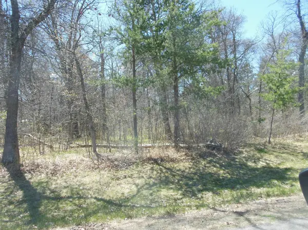TBD Lot 13 Jewelwood DR, Baxter, MN 56425