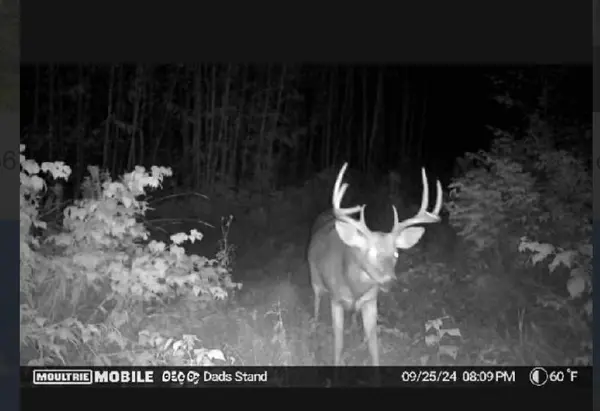 TBD US HWY 2,  Bagley,  MN 56621
