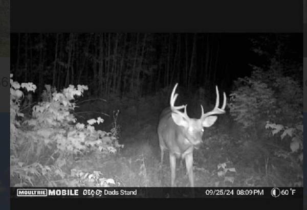 TBD US HWY 2,  Bagley,  MN 56621