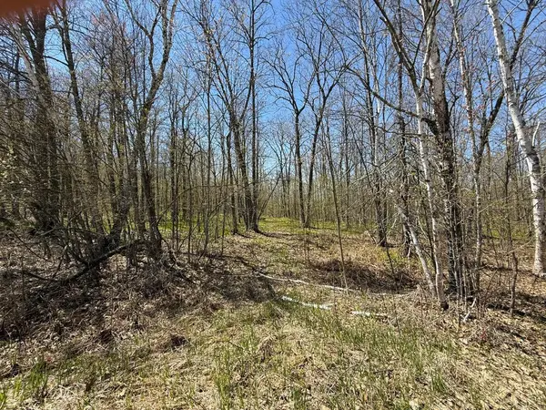 N10439 Tranus Lake RD, Springbrook, WI 54875