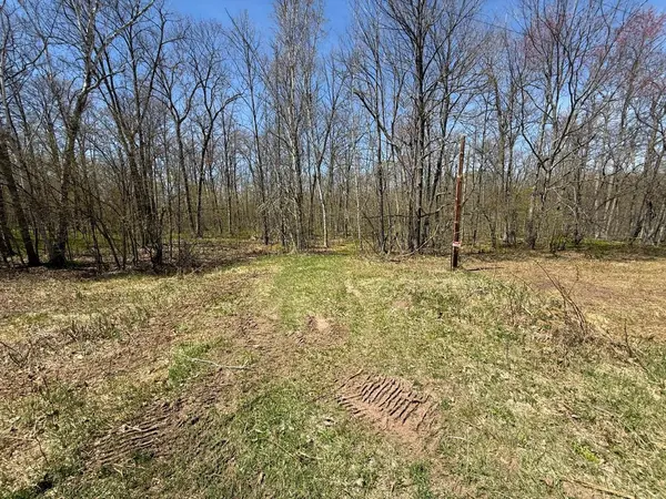 N10439 Tranus Lake RD, Springbrook, WI 54875