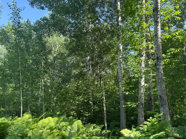 TBD 250th ST, Aitkin, MN 56431