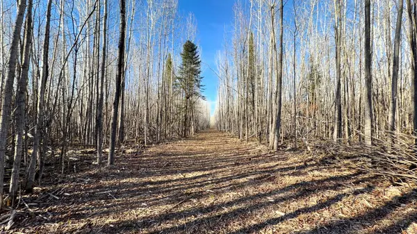 Lot A County Road 79, Littlefork, MN 56653