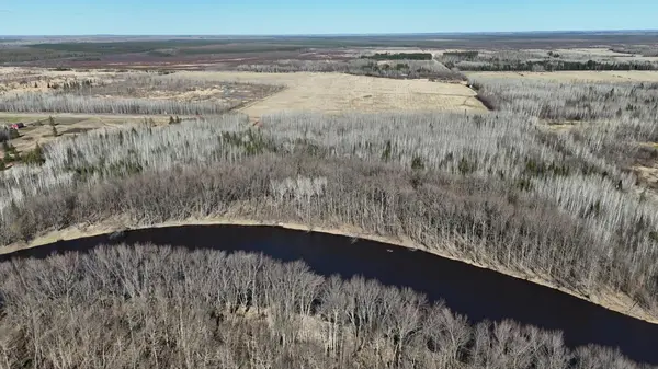 Lot A County Road 79, Littlefork, MN 56653