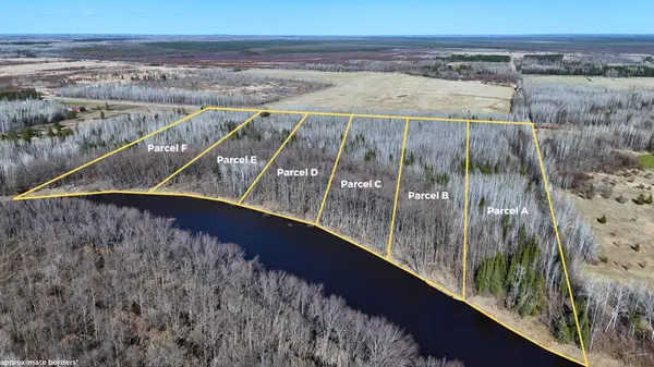 Lot A County Road 79, Littlefork, MN 56653