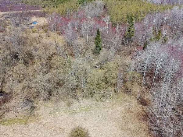 11839 Saint Vincent RD, Floodwood, MN 55736