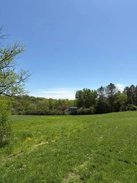 TBD Highway 55, Rockford Twp, MN 55313