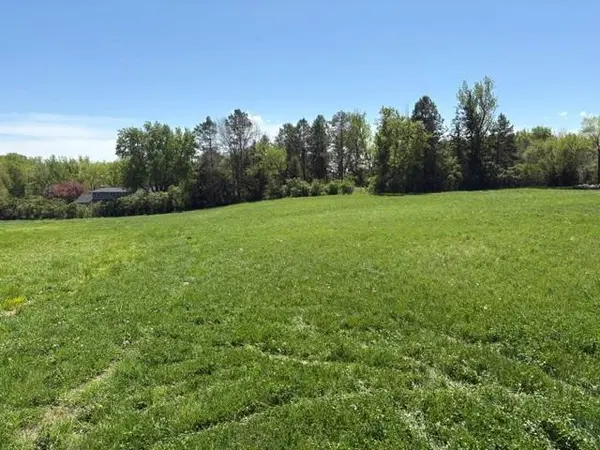 TBD Highway 55, Rockford Twp, MN 55313