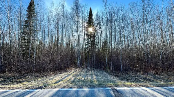Lot B County Road 79, Littlefork, MN 56653