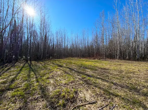 Lot C County Road 79, Littlefork, MN 56653