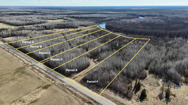 Lot C County Road 79, Littlefork, MN 56653