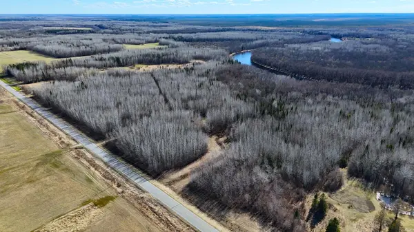 Lot D County Road 79, Littlefork, MN 56653