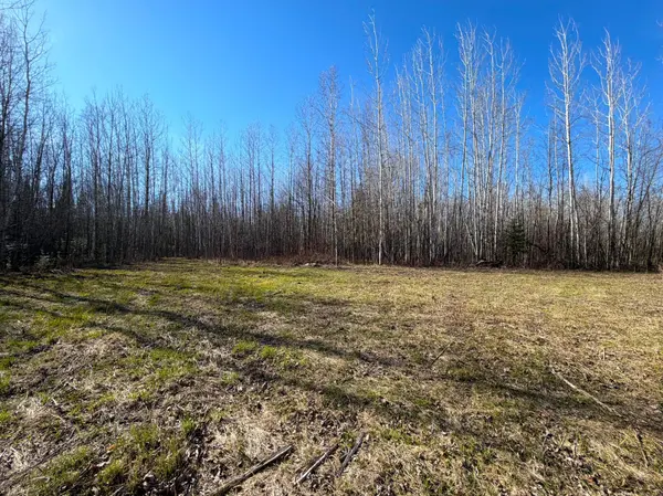 Lot E County Road 79, Littlefork, MN 56653