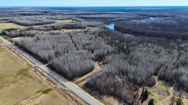 Lot F County Road 79, Littlefork, MN 56653