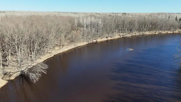 Lot F County Road 79, Littlefork, MN 56653