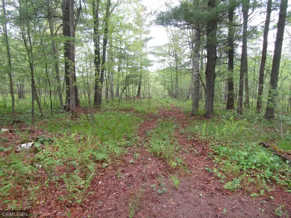 15442 Lofty Pines RD, Pine City, MN 55063