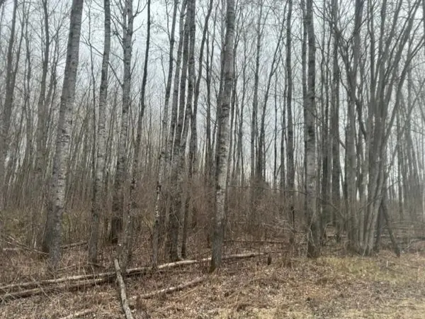 XXX Frazer Road, Deer River, MN 56631