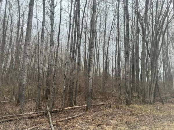 XXX Frazer Road, Deer River, MN 56631