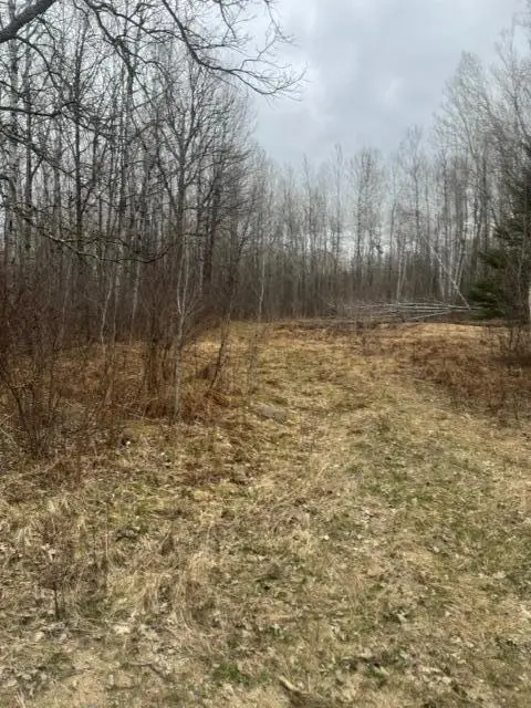 XXX Frazer Road, Deer River, MN 56631