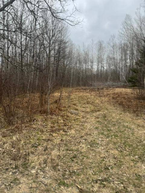 XXX Frazer Road, Deer River, MN 56631