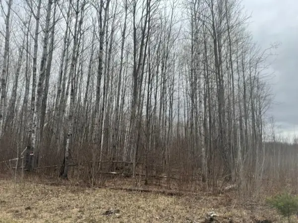 XXX Frazer Road, Deer River, MN 56631