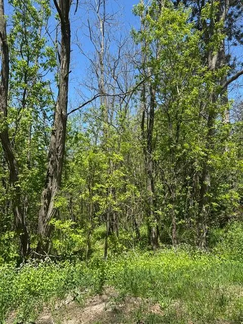 XXX S Adams ST, Saint Croix Falls, WI 54024
