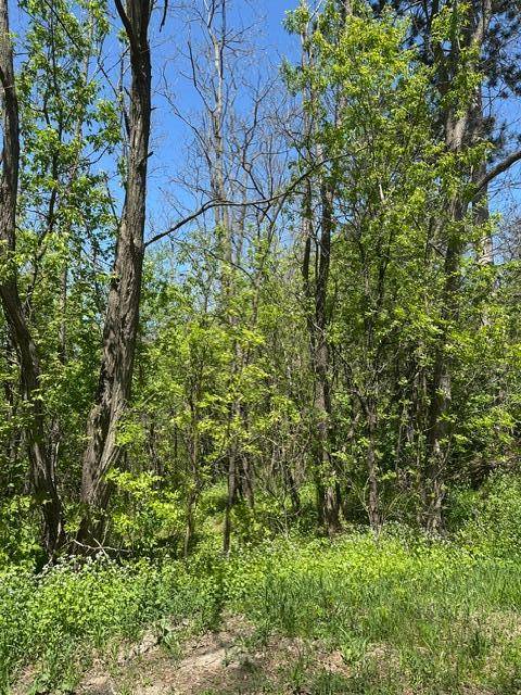 XXX S Adams ST, Saint Croix Falls, WI 54024