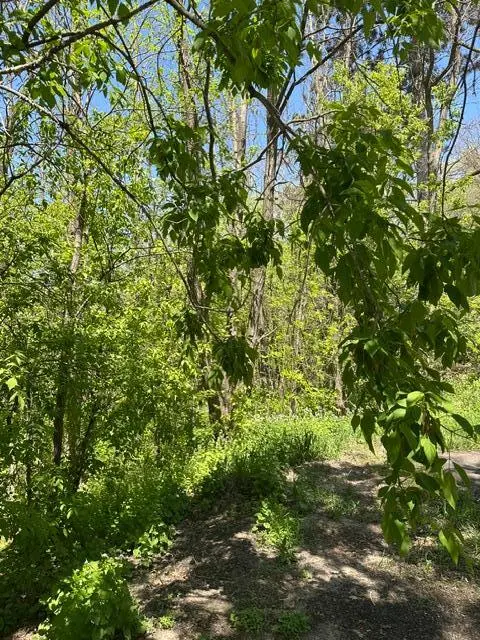 XXX S Adams ST, Saint Croix Falls, WI 54024