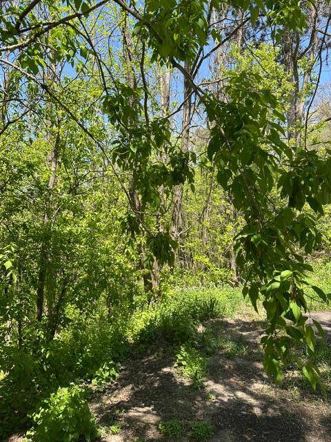 XXX S Adams ST, Saint Croix Falls, WI 54024