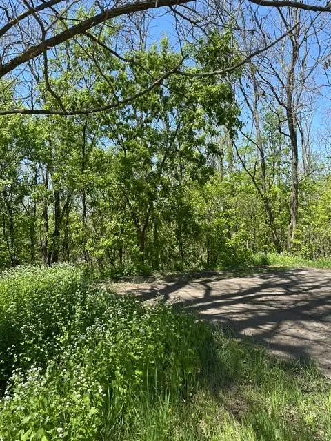 XXX S Adams ST, Saint Croix Falls, WI 54024